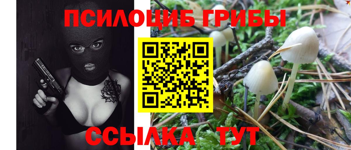 Галлюциногенные грибы Magic Shrooms  Вход с VPN  Сальск 