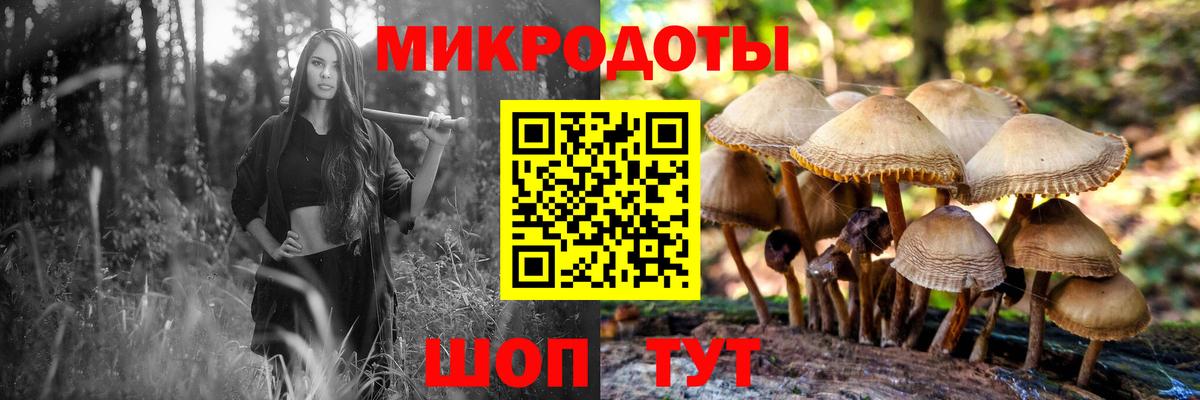 Псилоцибиновые грибы MAGIC MUSHROOMS Сальск